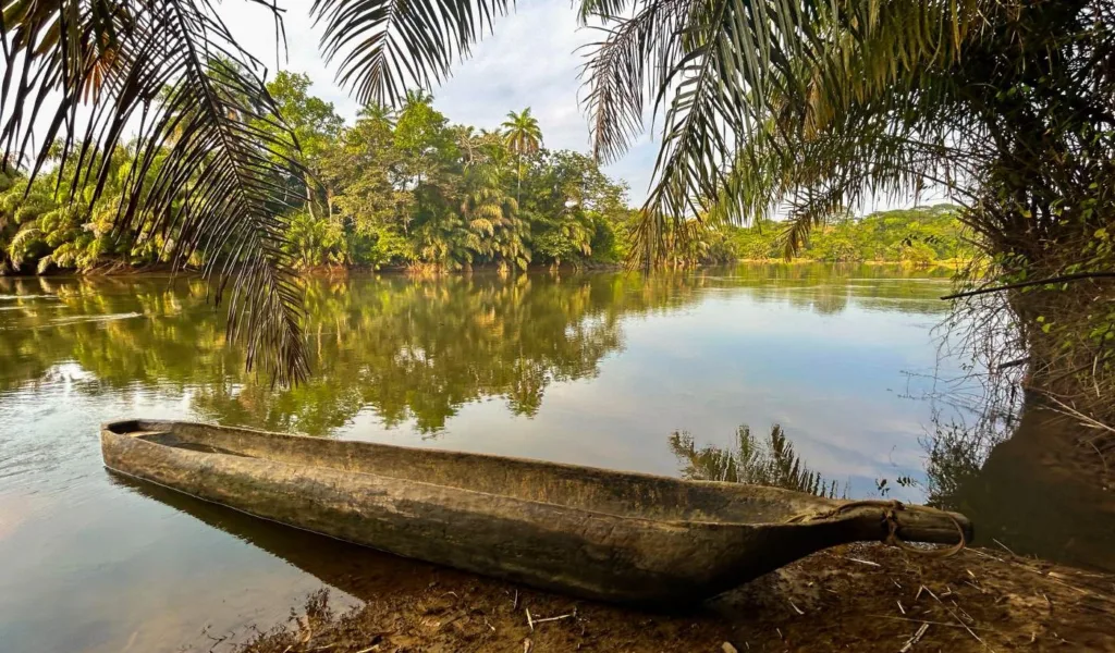 Top 5 reasons to visit Tiwai Island in Sierra Leone