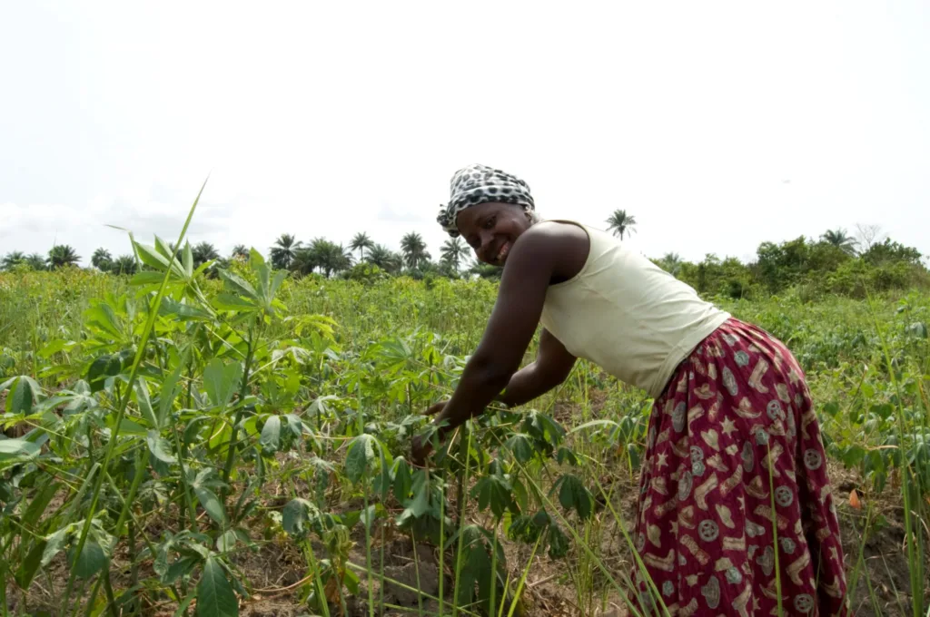 Traditional villages in Sierra Leone