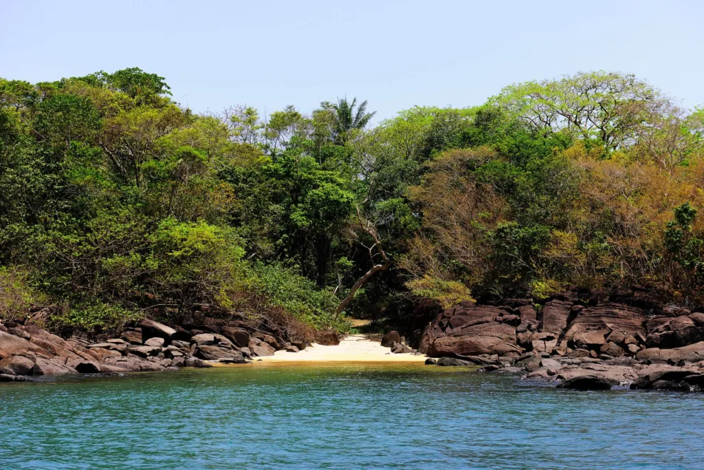 Top spots for diving in Sierra Leone